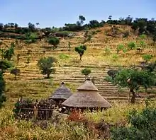 Terrasses du pays konso