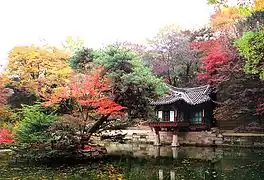 A small colorful wooden pavilion on a pond covered with lotus leaves