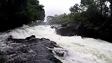 Chutes d'eau au parc national Korup.