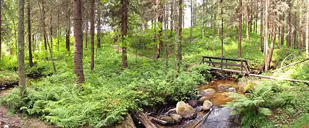 Sentier de randonnée de Koskikara.