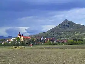 Jenčice