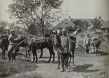 Soldats ottomans du XVe corps en Galicie en 1916.