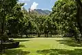 Le jardin de bauhinias