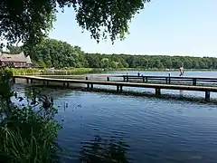 Plate-forme piétonne sur un lac avec promeneur et forêt en arrière-plan
