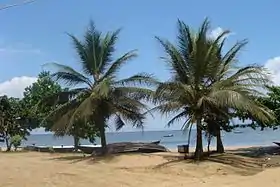 La plage de Kribi.