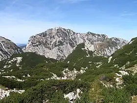 Vue, dans l'arrière-plan, du versant est du Krofička, depuis Molička planina. À droite, la ligne de crête continue vers le nord sous le nom d'Ute.