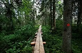 La piste de Kuikka du Parc national de Petkeljärvi.