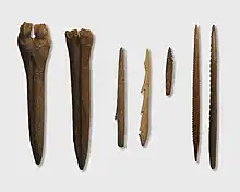 Outils de la culture Kunda (culture swiderienne, vers actuelle Pologne), IXe millénaire av. J.-C.