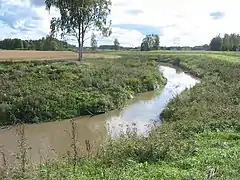 La rivière Kuusjoki.