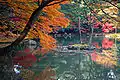 Paysage d'automne (Kyoto).