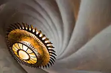 Plafond en spirale avec un lustre richement coloré au centre.