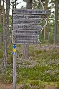 Panneau de direction en bois, avec à l'arrière-plan une forêt au sol couvert de bruyère.