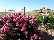 Les éoliennes de Léthuin.