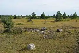 Un alvar sur l'île de Saaremaa.