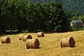 Boules de paille et l'église.