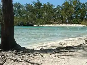 Une plage de l'île aux Cerfs.