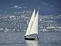 L'Aurore devant Montreux