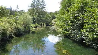 Le ruisseau Auzon à Saint-Étienne-de-Fontbellon.