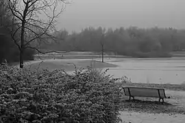 L'étang de la Briquette en hiver.