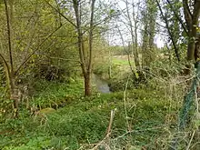 L'Ingon à Herly à côté du moulin désaffexté