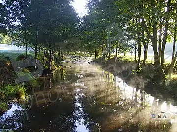 L'Issoire à Brillac.