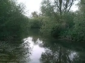 Image illustrative de l’article Marais de l'Omignon