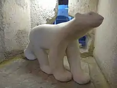 Version de petite taille de l'Ours blanc au musée des beaux-arts de Dijon.