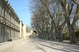 L'université d'Avignon.