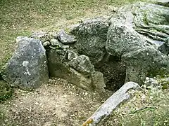 L'antichambre de l'allée couverte de la Pierre Plate, dans la forêt de l'Isle-Adam.