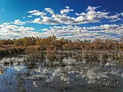 L'automne au Scamandre