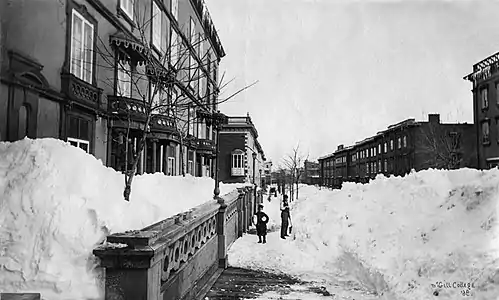 Photographie de Alexander Henderson : L'avenue McGill College en direction sud depuis la rue Sherbrooke, Montréal, QC, 1869.