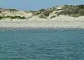 Les dunes de sable caractéristiques du littoral de la baie de Canche.