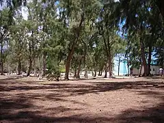 L'arrière-plage et ses filaos. On aperçoit le poste de secours de la passe de L’Hermitage.