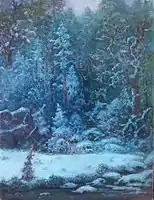 Neige en forêt.