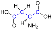 L-aspartate