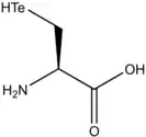 Image illustrative de l’article Tellurocystéine