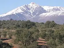 Paysage montagneux avec oliveraies et en arrière-plan le mont Lalla-Khadîdja enneigé