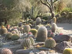 Image illustrative de l’article Living Desert Zoo and Gardens