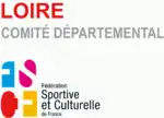 Image illustrative de l’article Union gymnastique et sportive des patronages catholiques de la Loire