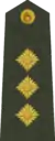 Pulkvedis(Latvian Land Forces)