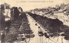 Carte postale ancienne montrant un boulevard et ses quatre allées d'arbres.