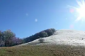 La Miélandre couverte de givre.