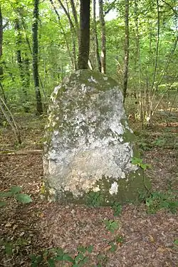 Image illustrative de l’article Menhirs de la Mancellière