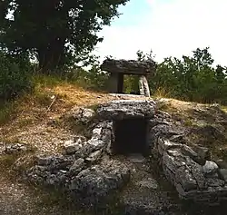 Image illustrative de l’article Dolmens de Ferrussac