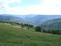 Col du Thort, 1 120 m, côté nord.