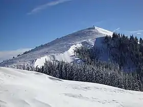 Vue du sommet de la Berra en hiver.