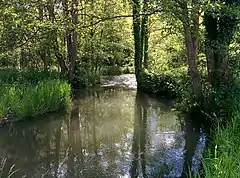 La Bresle dans le grand-marais