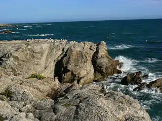 La côte sauvage du Croisic.