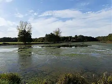 L'étang de Tiolet à l'ouest de la RD 40.