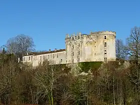 Image illustrative de l’article Château de La Chapelle-Faucher